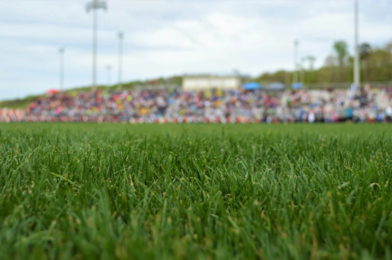 the field is very green with many spectators