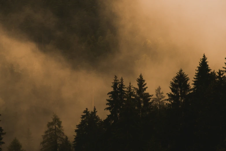 trees are in front of the cloudy sky