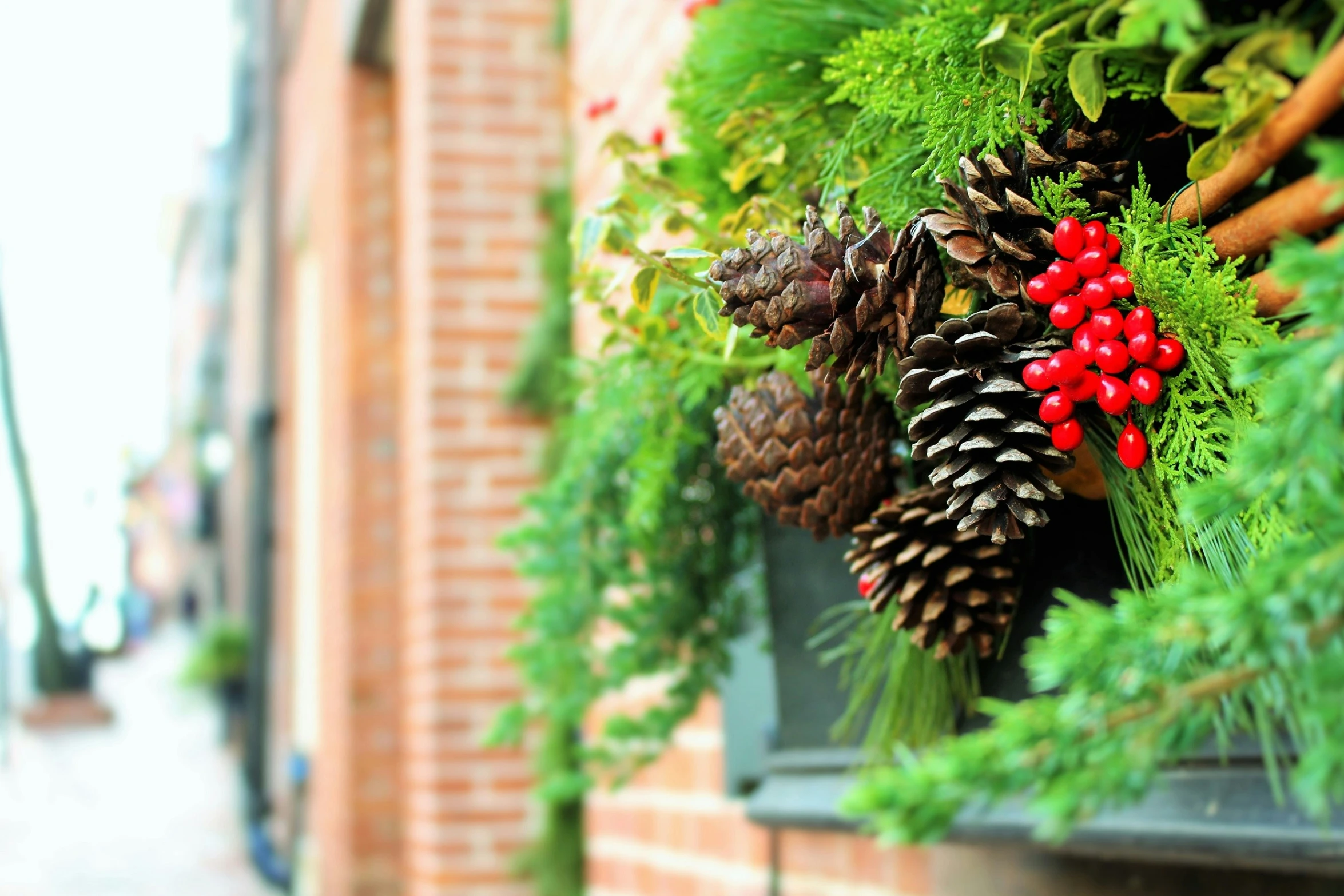 some pine cones and berries are hanging from a window sill