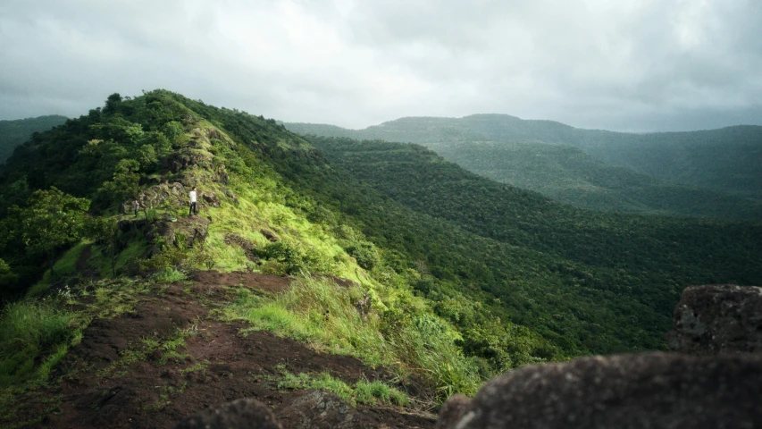 a hillside is covered in green foliage and a mountain slope