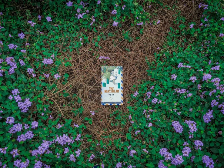 a books that is in the grass on a pile of flowers