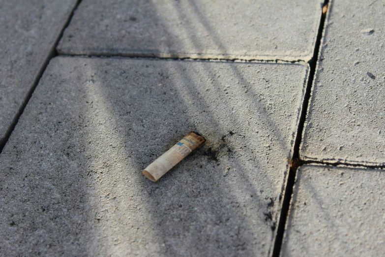 a single empty cigarette stick lies on a sidewalk