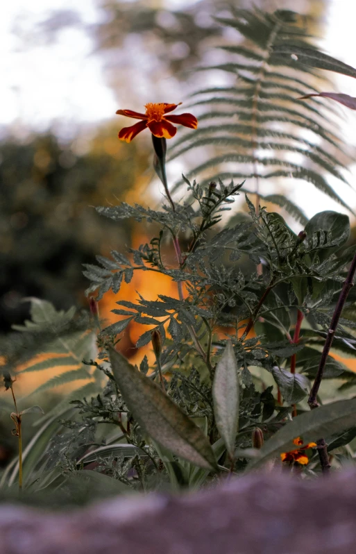 a flower in the center of some trees