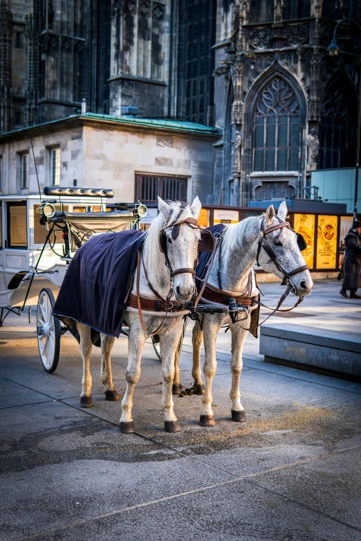 two white horses with saddles pulling a buggy in front of a large stone building