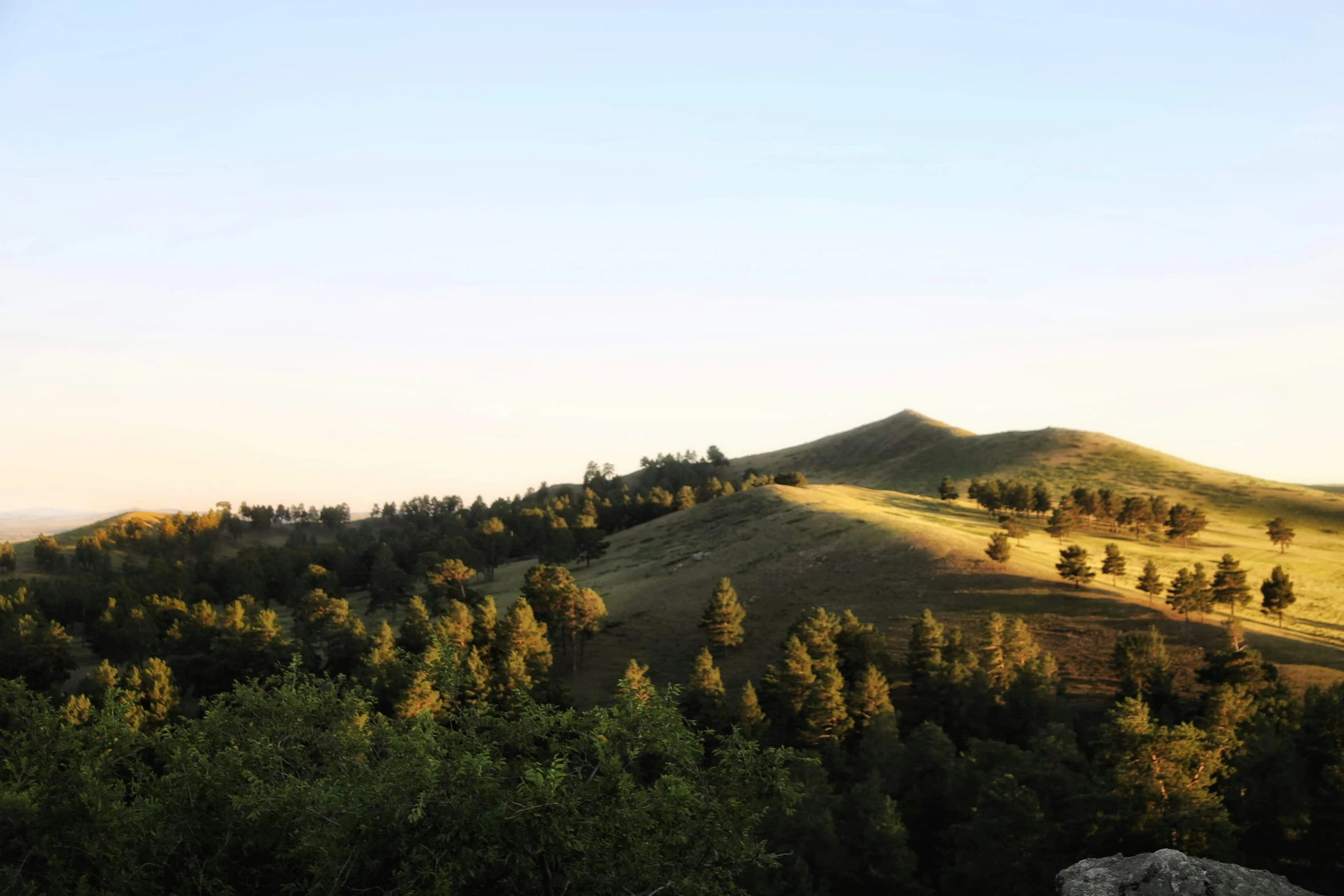 trees on the top of a hill with the sky in the background