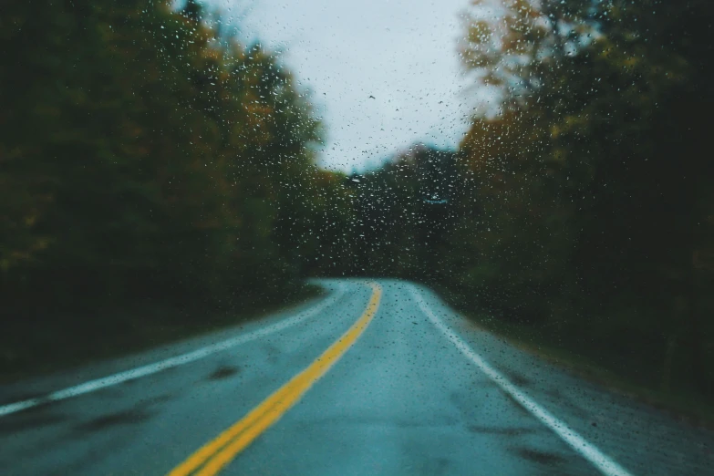 the view through the car windshield of a rainy forest