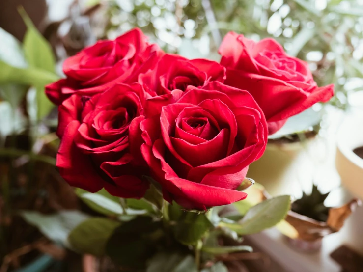 three red roses on top of a glass vase