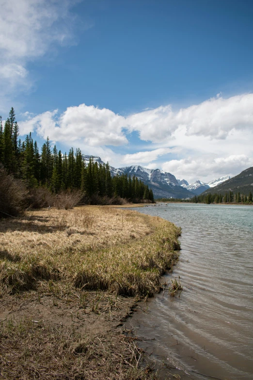 grass in the foreground with mountain range in the background