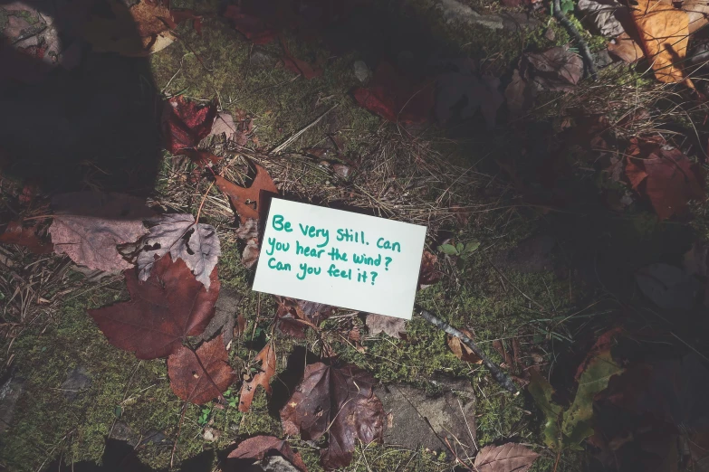 a sign on the ground on grass with leaves