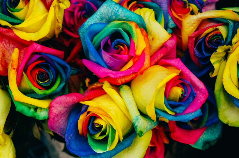 a bouquet of colorful rainbow colored roses