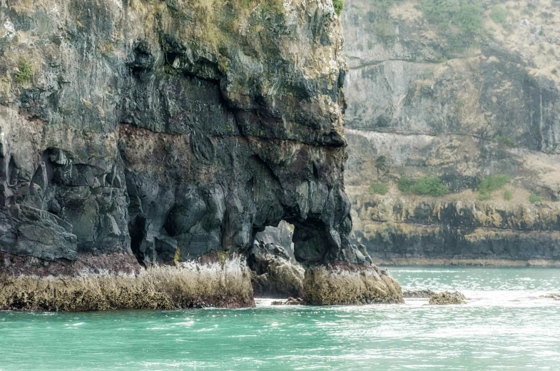 a large rocky shore with several animals on it