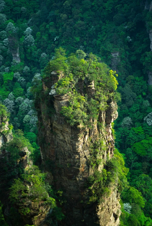 a large tall rock towering over a lush green forest