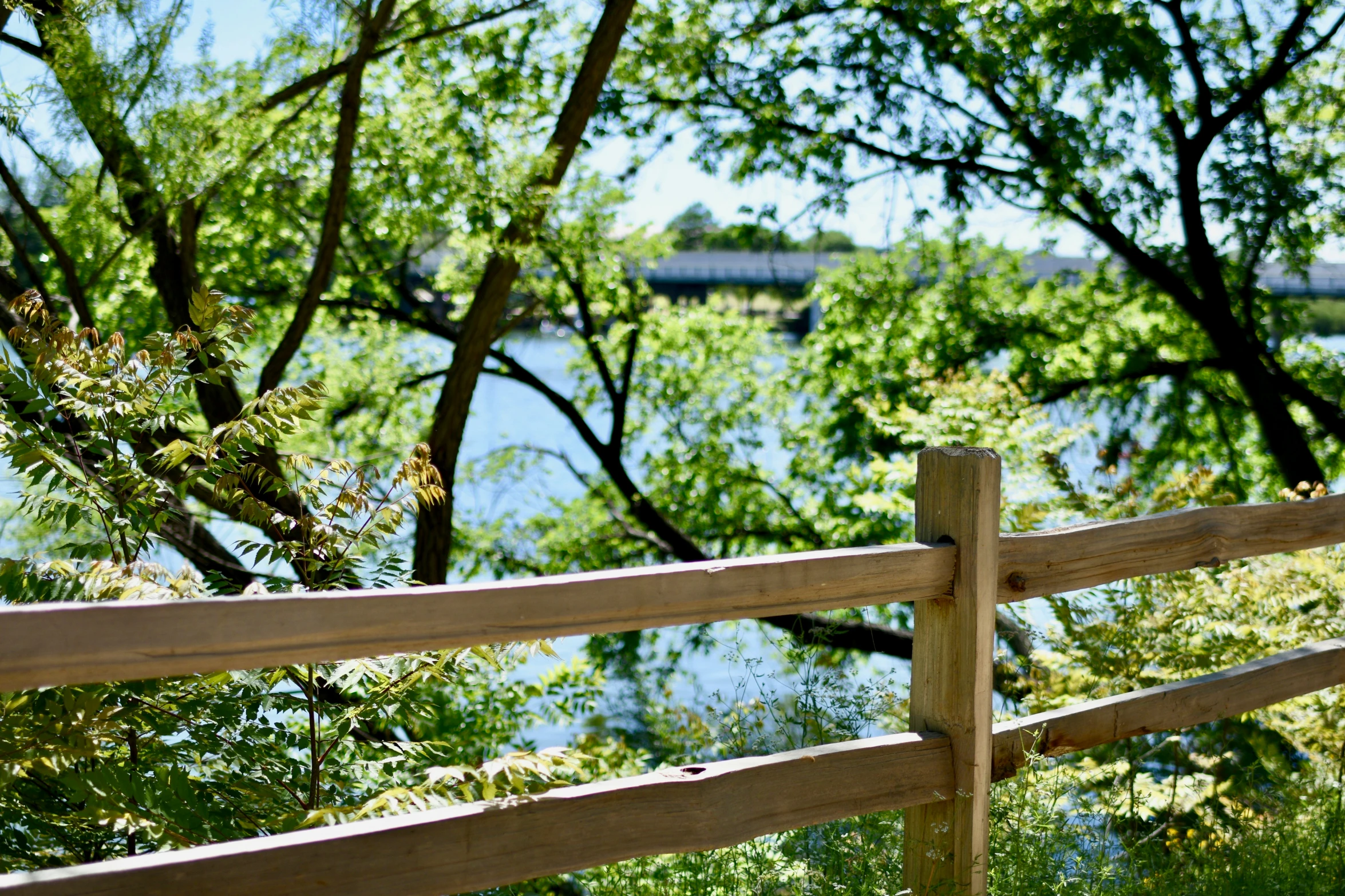 an image of a park fence with trees and water behind it