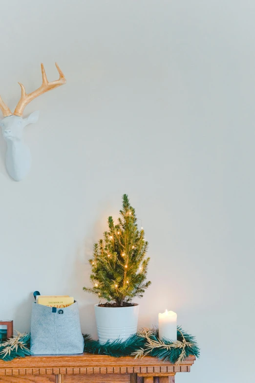 a large deer head above a mantle with a pine tree