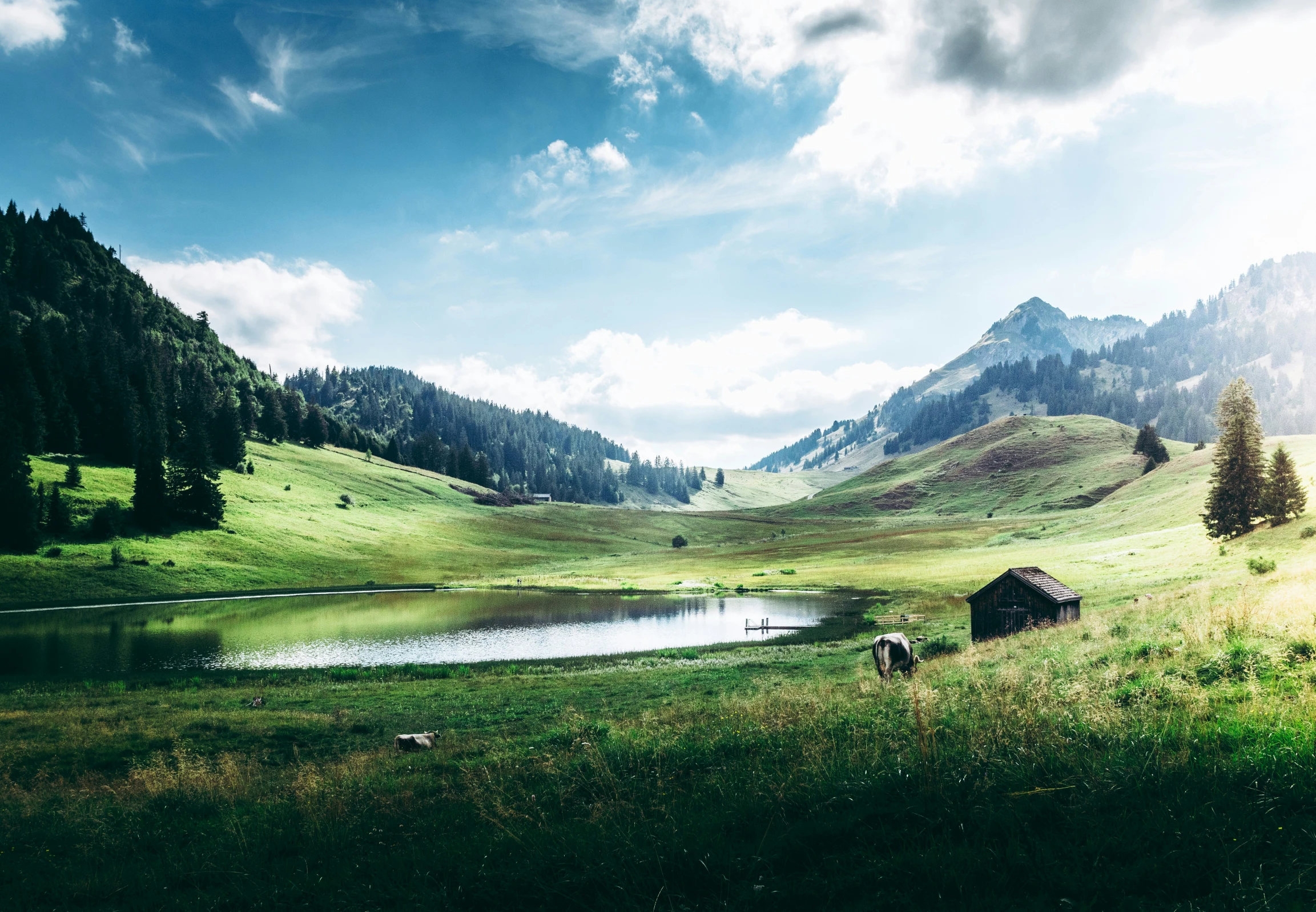 the beautiful scenery is very green with water in it