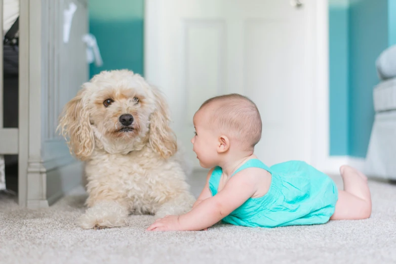 a baby and a dog on the floor