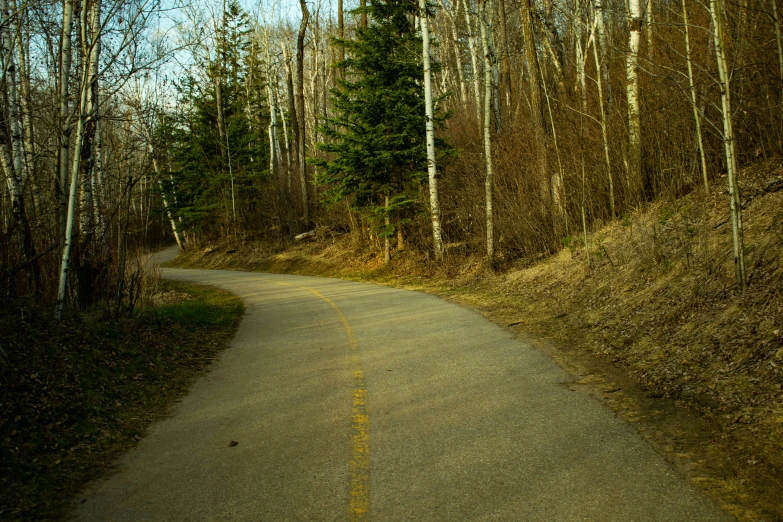 an empty and winding road with many trees on the side