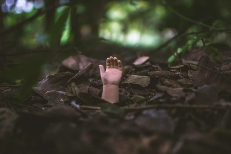 a person's foot is placed in the leaves