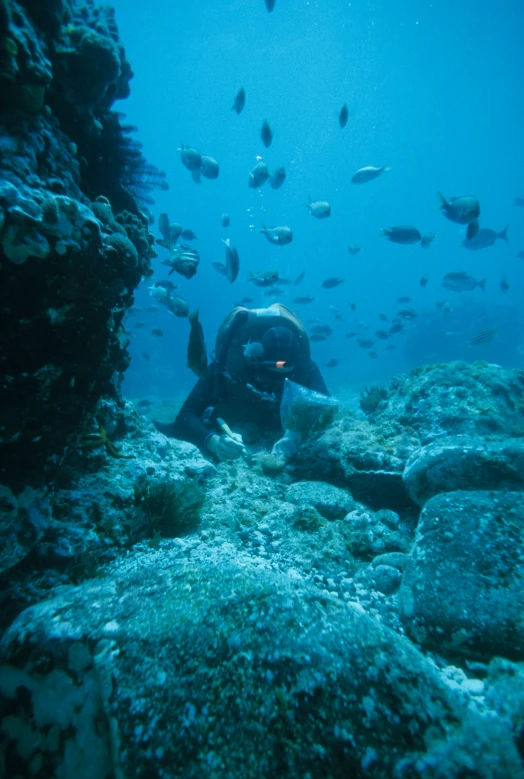 a person is scubang in the water near a rock