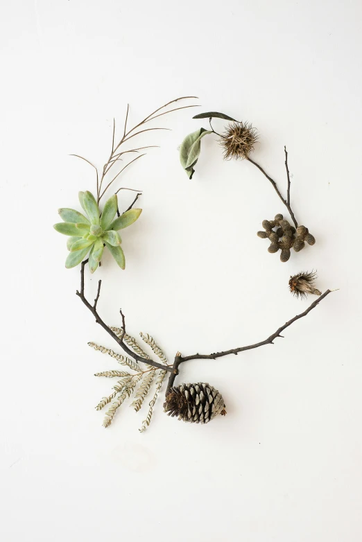 the wreath made with flowers and small pine cones is on a white wall