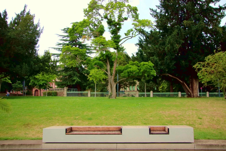 an empty bench sits in the middle of the grass