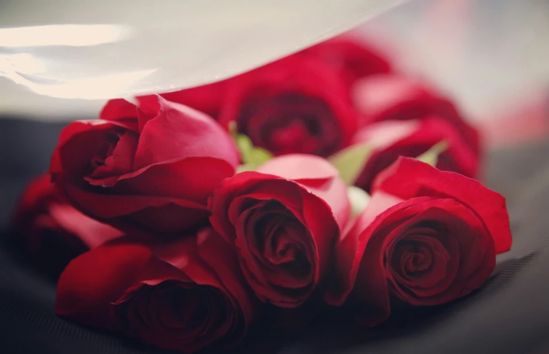 many red roses on display together, including one larger flower