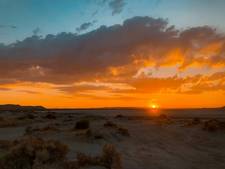 the sun sets over a desert with grass and brush