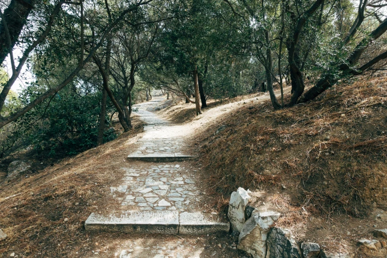 steps are shown in the middle of a grassy area