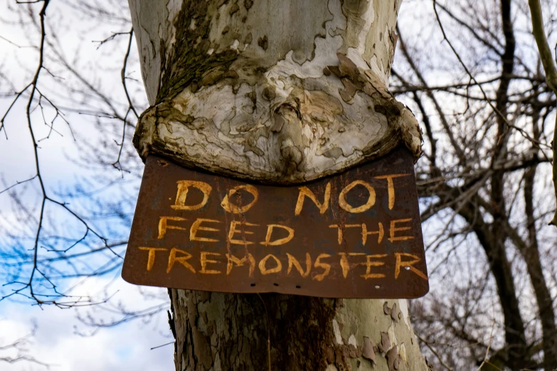 the sign on a tree stating don't feed the tree monster