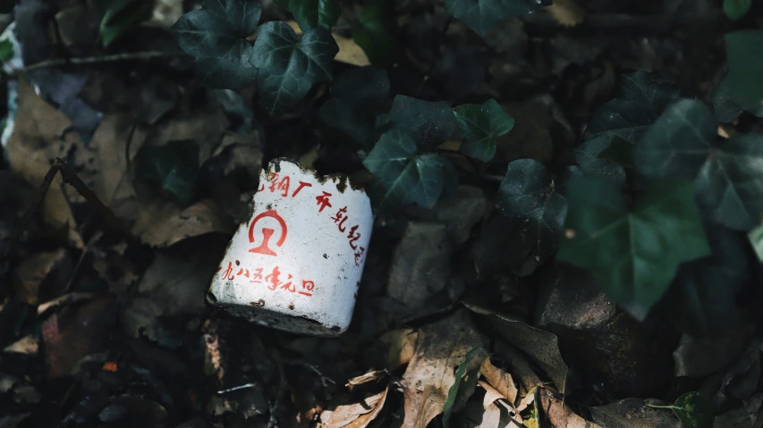 an old bottle on the ground with plants in it