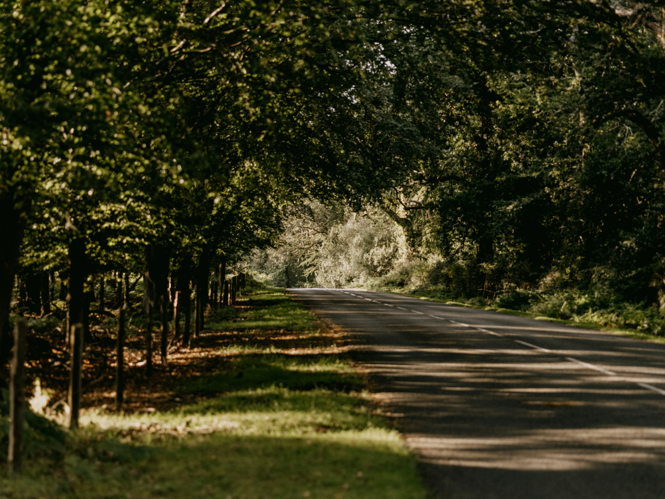 an empty road surrounded by trees and grass