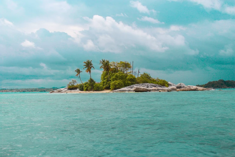 a small island with some palm trees on it