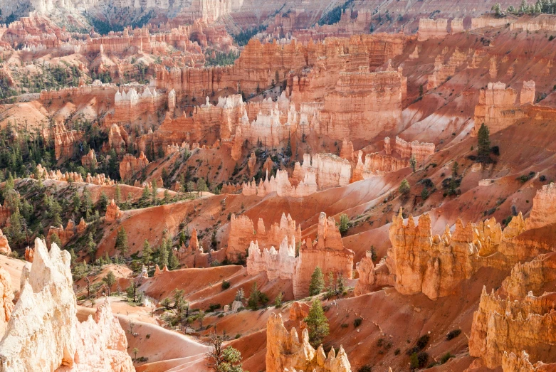 an image of a vast canyon setting that is in the middle of nowhere