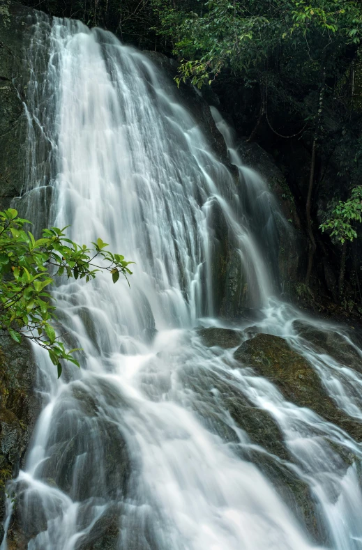 a large waterfall has small trees growing from it