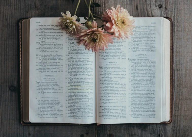 a book with flowers placed in front of it