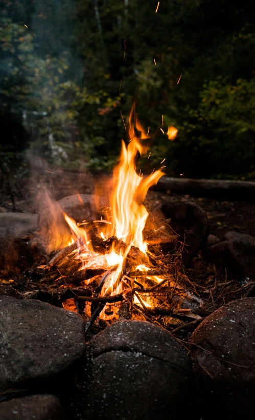 a close up of a fire with lots of flames