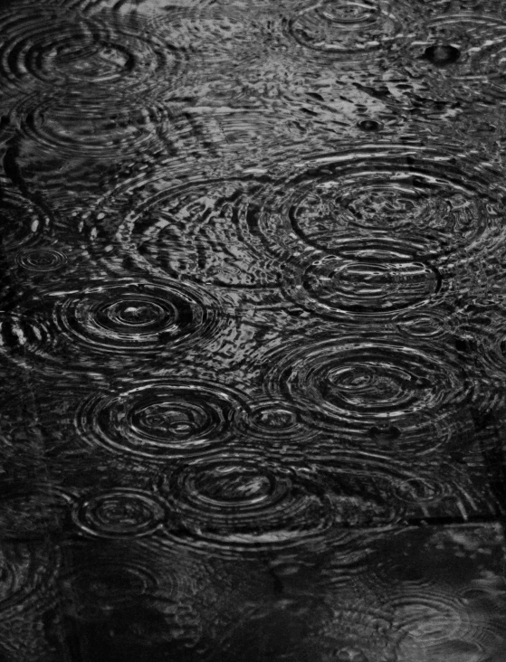 water in black and white with brown spots