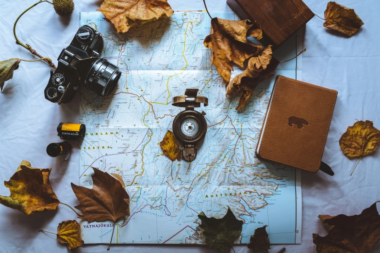 an overhead view of the table with leaves, maps, a camera and a book