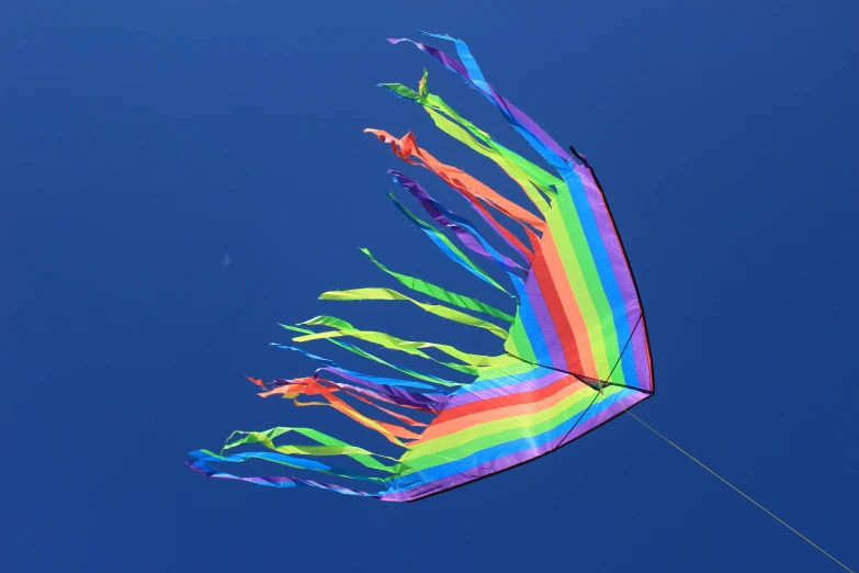 the kite is very large and has very many different colors