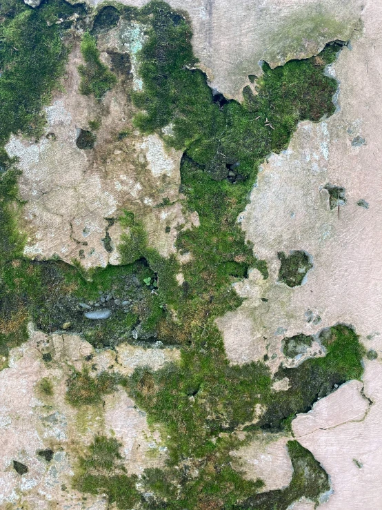 this is a very detailed landscape that appears to be made from an image of the earth