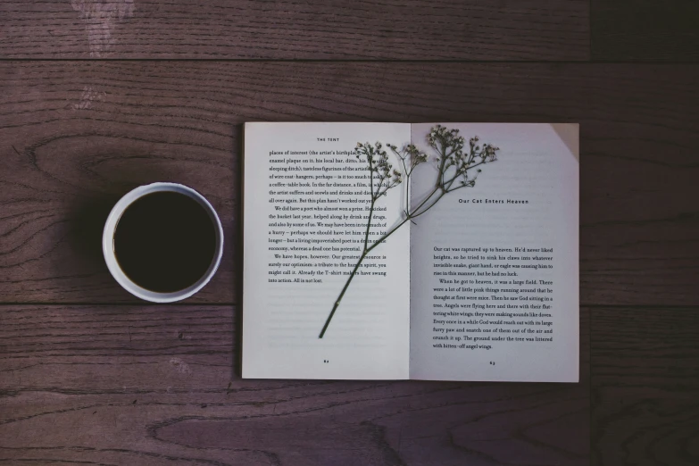 book open and sitting next to a cup of coffee