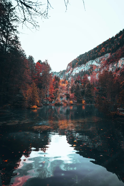 a lake surrounded by trees and a mountain