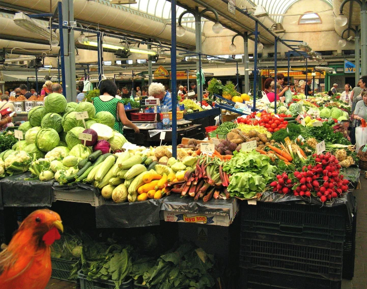 people are shopping at an outdoor market and one bird is nearby