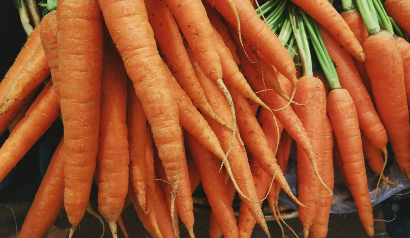 carrots in a large pile stacked on each other