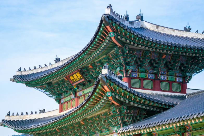 an oriental style building has lots of bird perched on top