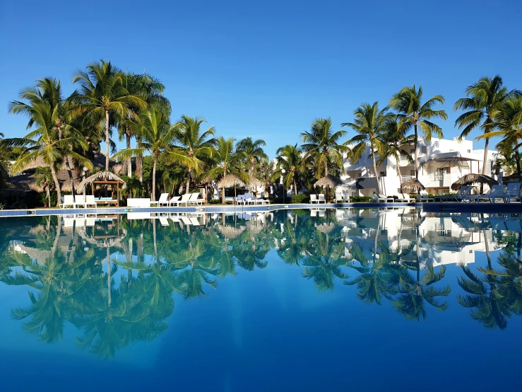 a large pool with several lounge chairs surrounded by trees