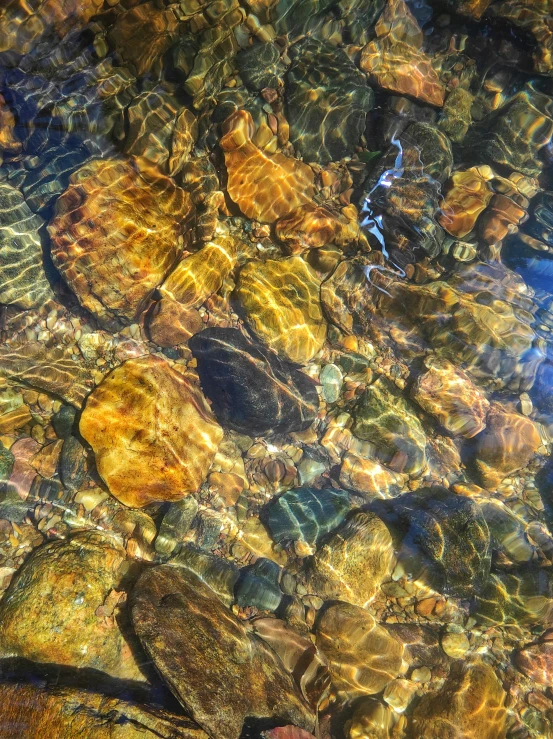 rocks under water with sunlight reflecting on the surface