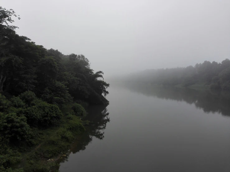 a foggy river in the middle of a forest