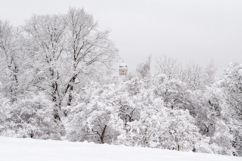 snow covered trees are surrounding a large monument