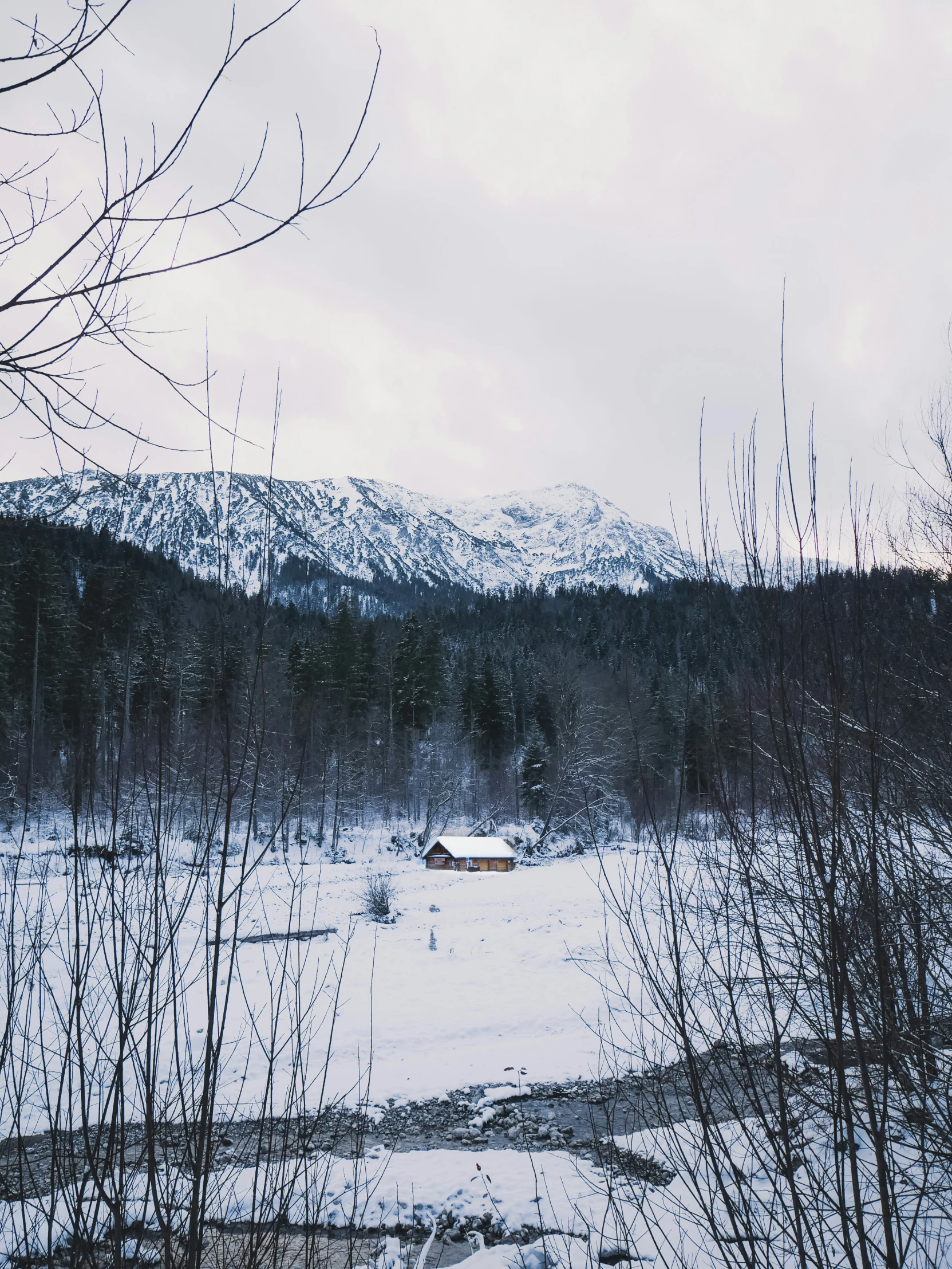 a cabin in the middle of the woods with no people around